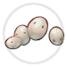 Egg Friends Image