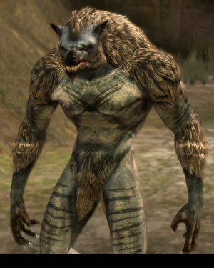 Werewolf, Dragon Age Wiki