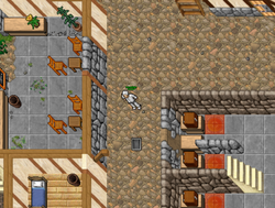 Mereus2.png