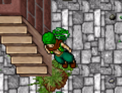 Rashid.png
