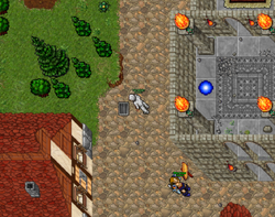 Mereus3.png