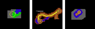 Pirate3.png