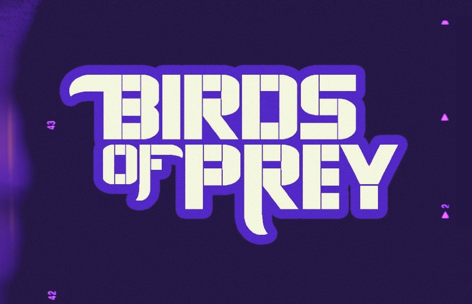 Birds of Prey (film), Batman Wiki