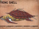 Strong Shell