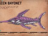 Keen Bayonet