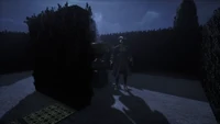 Watcher Hedge Maze