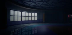 Ditto
