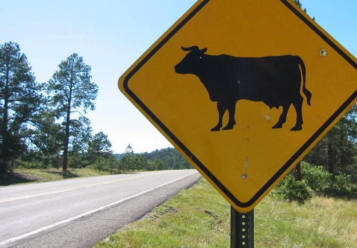Cattle | Dark Future: Living Rulebook Wiki | Fandom