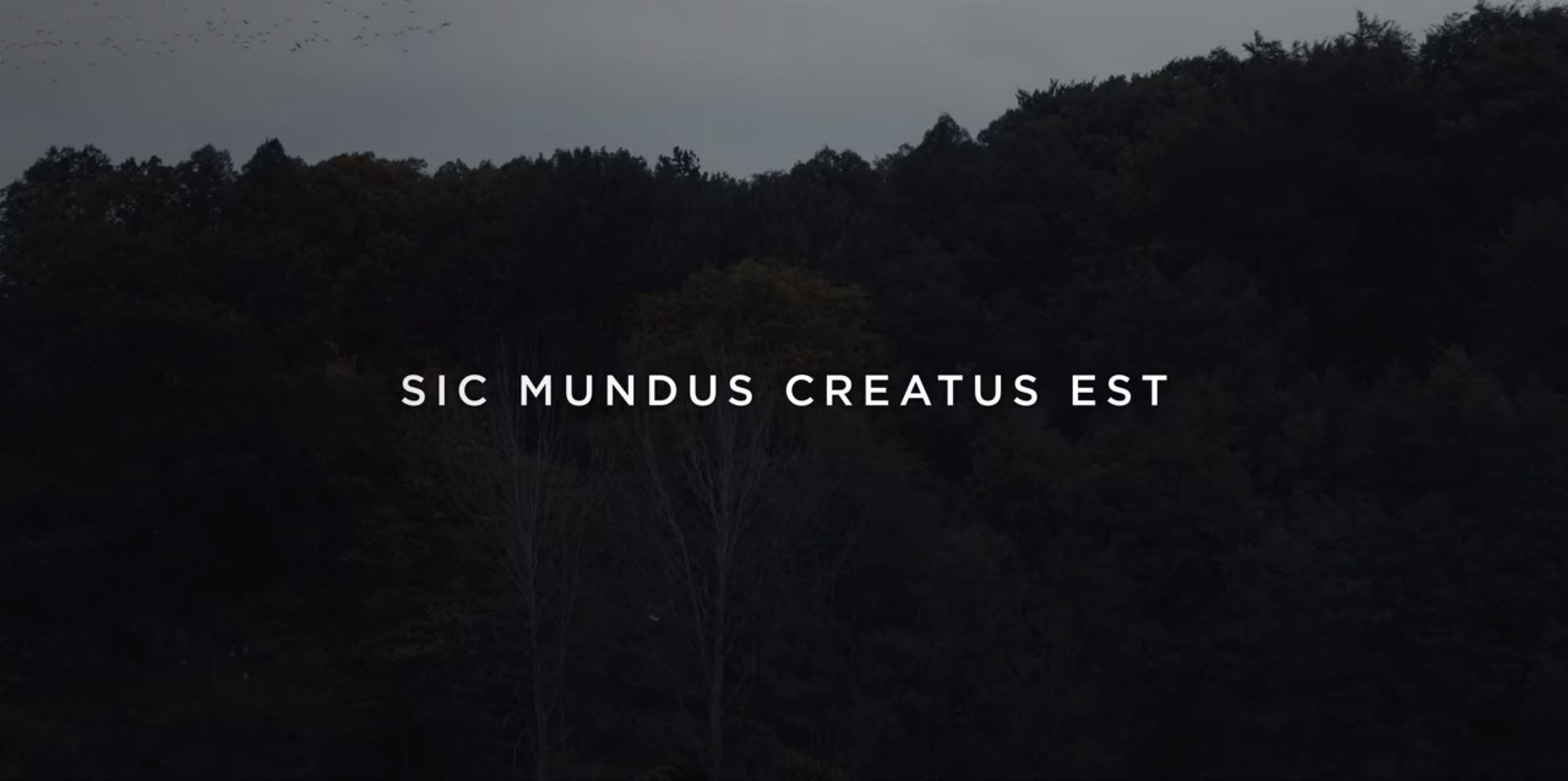 Sic Mundus Creatus Est Dark Wiki Fandom