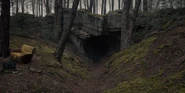 The cave entrance in 2019
