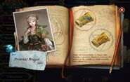 Photo of Brigid in spellbook, Return of the Salt Princess