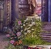 Flowers; Path to Ruins