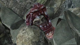 Cabeza de Vengarl de Forossa