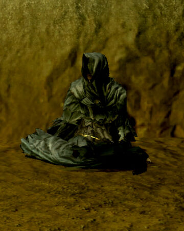 Quelana De Izalith Wiki Dark Souls Fandom Quelaag once lived with her mother, the witch of izalith, and her siblings in the ancient city of izalith. quelana de izalith wiki dark souls