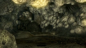 Dominios De Quelaag Wiki Dark Souls Fandom Guia de trofeos de dark souls/dark souls remastered toda la guia esta creada por malignoo. dominios de quelaag wiki dark souls