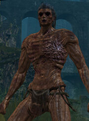 Carcasse homme (Dark Souls)