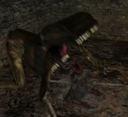 Jugador engañado por un mímico