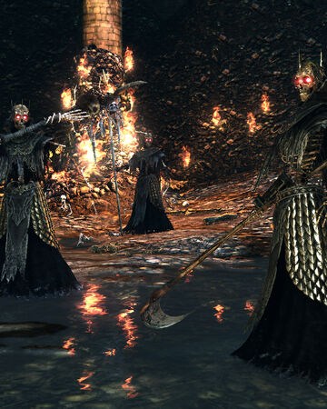 Senores De Los Esqueletos Wiki Dark Souls Fandom