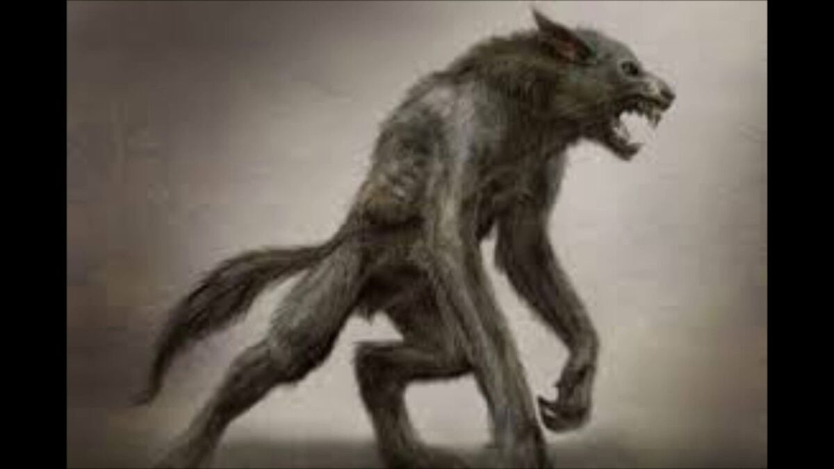 Luisón, El Hombre Lobo de los Guarníes - Luisón, The Guarani's Werewolf —  Steemit