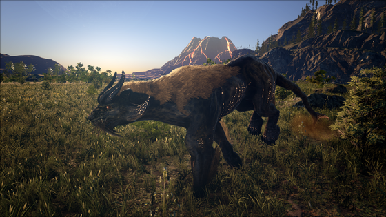 Panther
