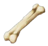 Icon bones