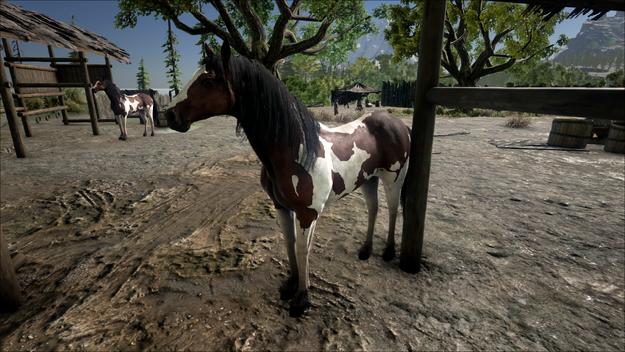 Horse
