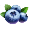 Icon berries