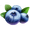 Icon blueberries.png