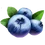 Icon berries