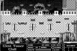 WestTowerWall b.gif