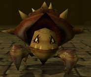 Crabby Hermit