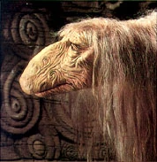 UrYod the Numerologist.jpg (14 KB) urYod the Numerologist