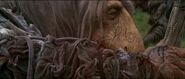 UrSol, after his hand was wounded when his Skeksis counterpart skekSil was stabbed by Jen.