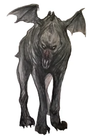 Rakkida - Iris Compiet