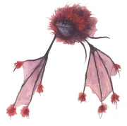 Hollerbat - Iris Compiet