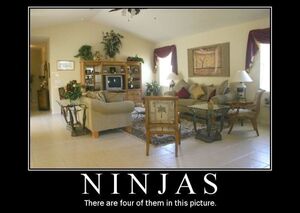 Ninjas