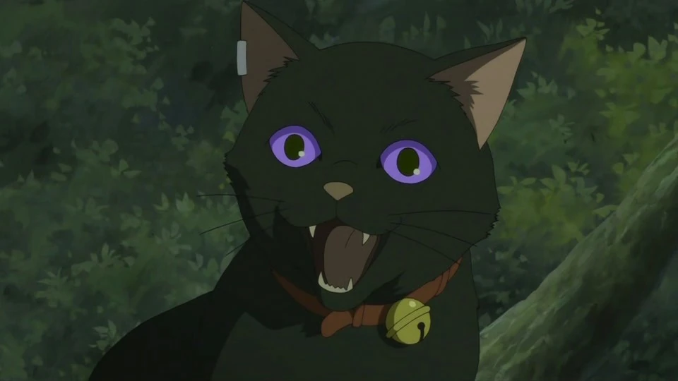 Black mao. Pullip black mao. Black mao. Темнее черного мао. Black mao.