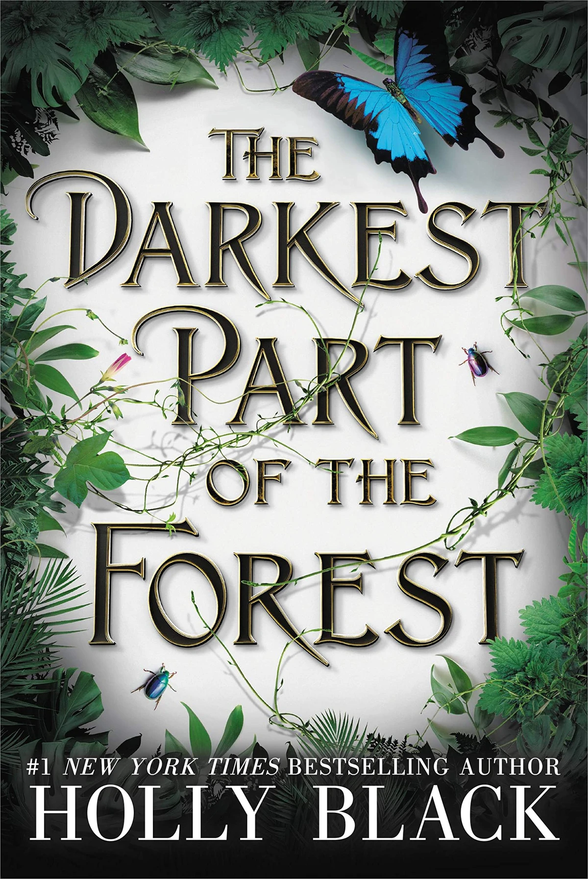 The Darkest Part of the Forest The Darkest Part of the Forest Wiki