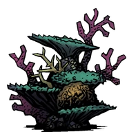 Th eerie coral done
