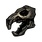 Rat Skull