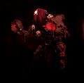 A regular Shaman