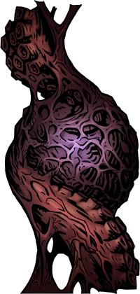 Gestating Heart