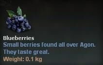 Blueberries.jpg
