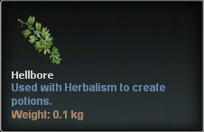 Hellbore