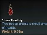 Minor Healing Potion