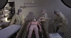 Peyton being treated.