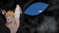 Ichigo, Unohana dive into Garganta