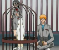 Ichigo, Rukia, Juice, and Bird