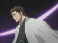 Aizen's true nature