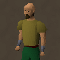 Category:bots | Dark Runescape Wiki | Fandom